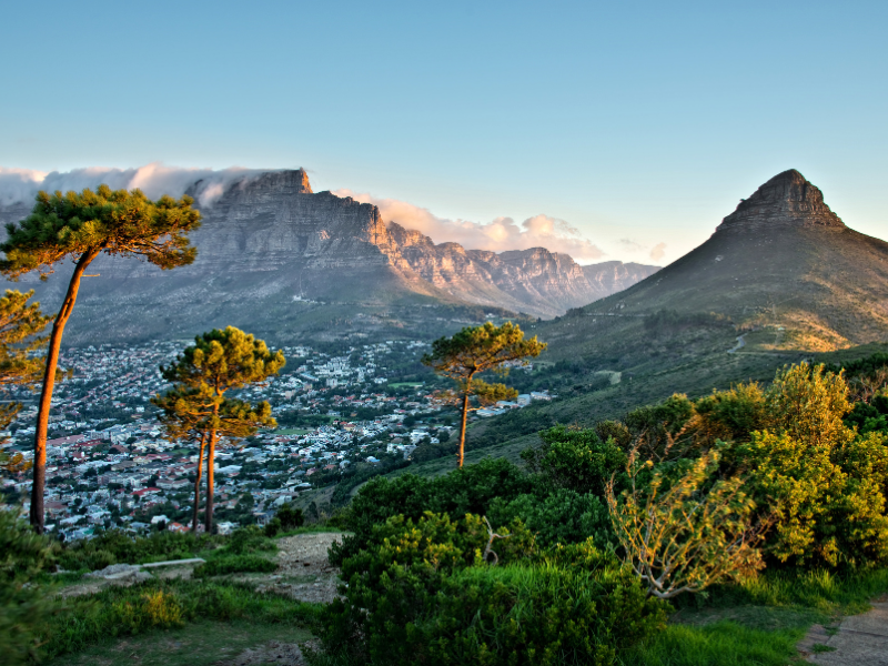 Cape Town, Sun City and Madikwe — 8